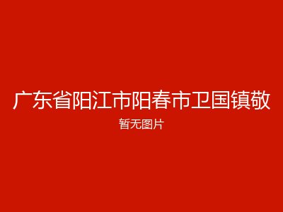 广东省阳江市阳春市卫国镇敬