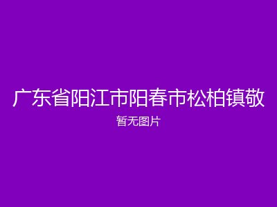 广东省阳江市阳春市松柏镇敬