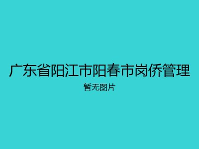 广东省阳江市阳春市岗侨管理
