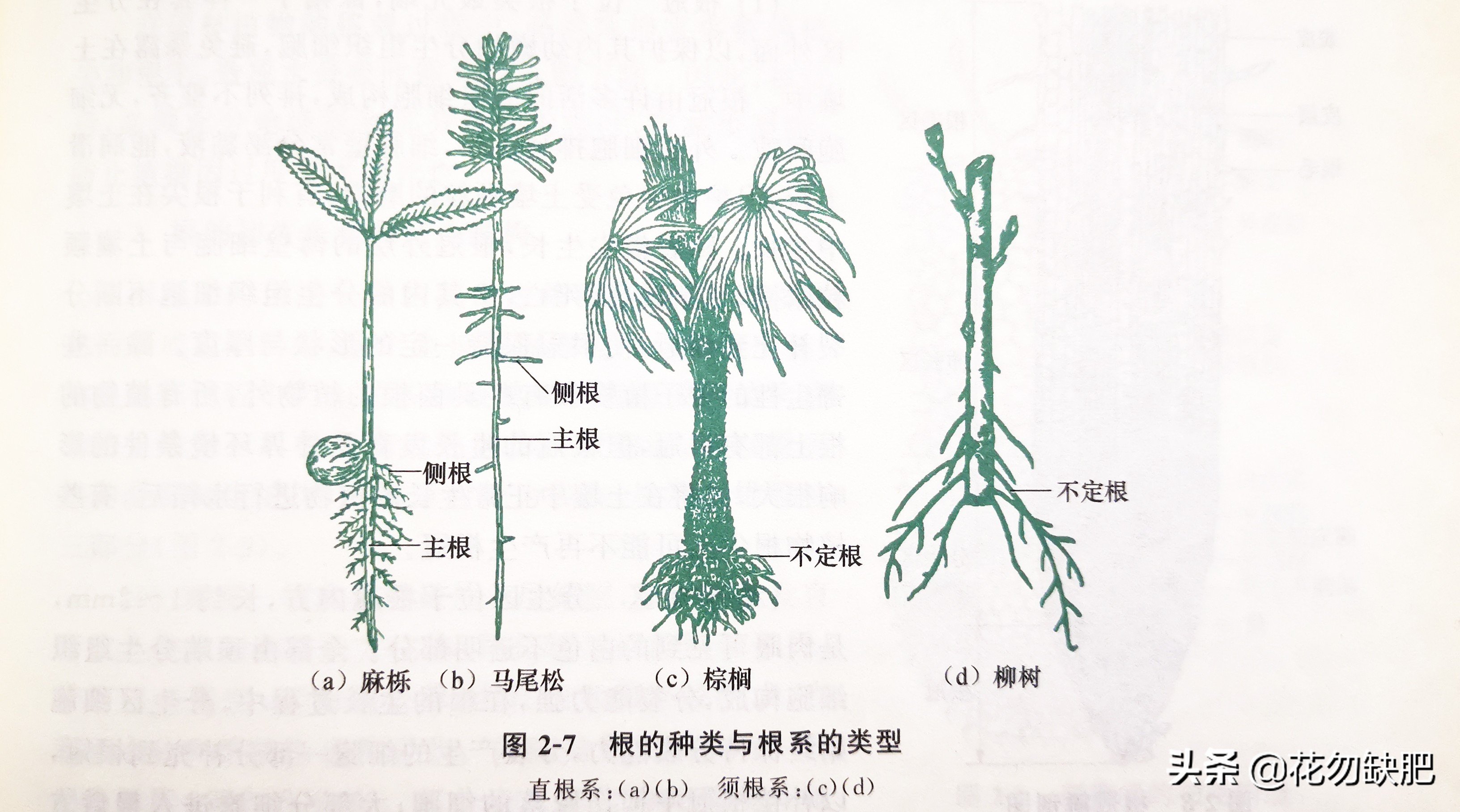 河北省邯郸市大名县金兴爱心公寓