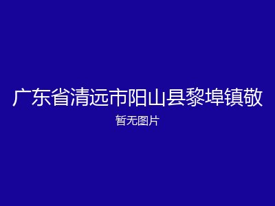 广东省清远市阳山县黎埠镇敬