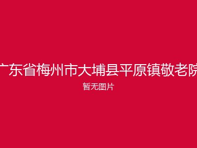 广东省梅州市大埔县平原镇敬老院