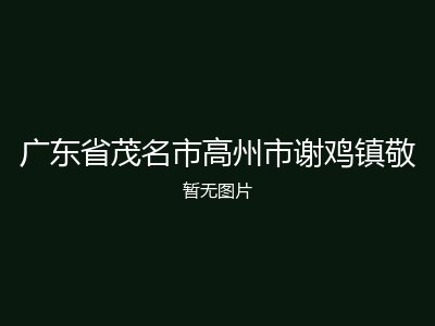 广东省茂名市高州市谢鸡镇敬