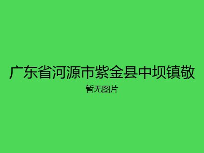 广东省河源市紫金县中坝镇敬
