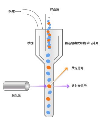 广东省河源市紫金县黄塘敬老