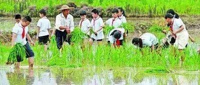 广东省河源市连平县崧岭镇敬老院