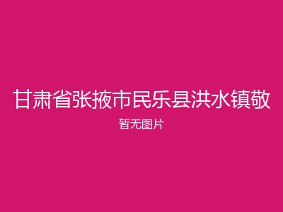 甘肃省张掖市民乐县洪水镇敬