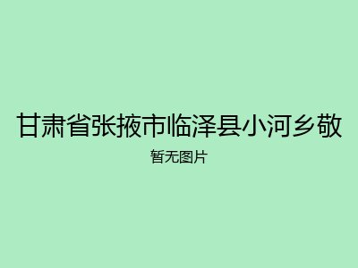 甘肃省张掖市临泽县小河乡敬
