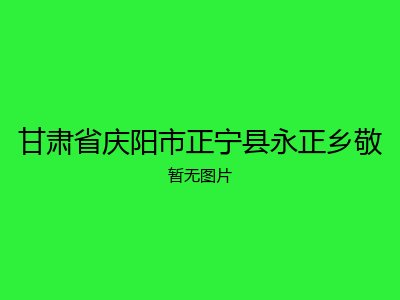 甘肃省庆阳市正宁县永正乡敬
