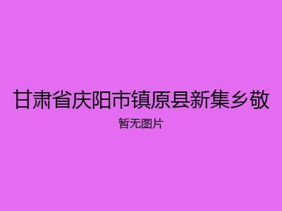 甘肃省庆阳市镇原县新集乡敬