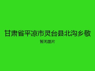 甘肃省平凉市灵台县北沟乡敬