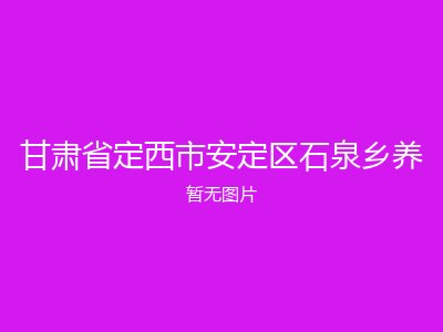 甘肃省定西市安定区石泉乡养