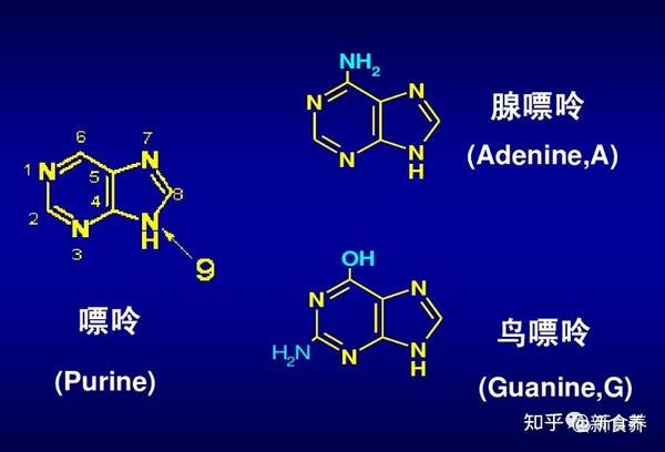 福建省宁德市福鼎市白琳镇敬