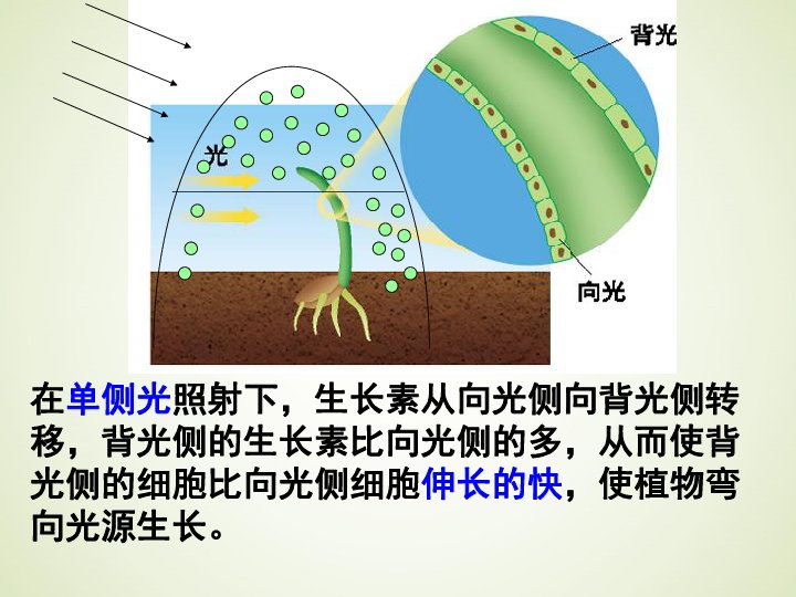 福建省龙岩市上杭县茶地乡敬老院