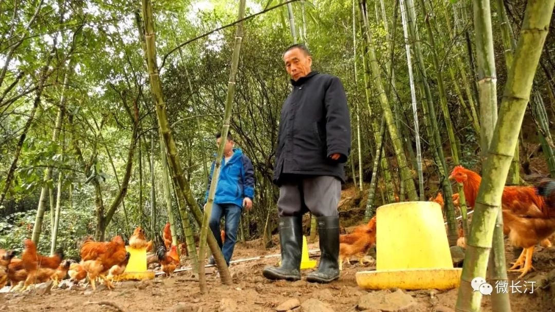 福建省龙岩市长汀县铁长乡敬老院