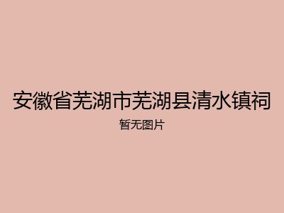 安徽省芜湖市芜湖县清水镇祠