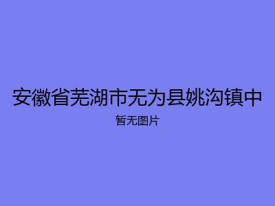 安徽省芜湖市无为县姚沟镇中