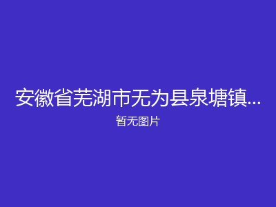 安徽省芜湖市无为县泉塘镇中心敬老院