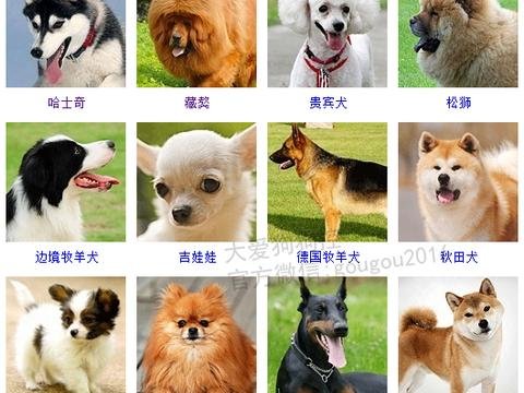 安徽省芜湖市无为县开城敬老院