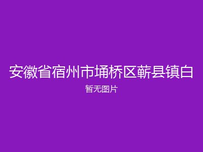 安徽省宿州市埇桥区蕲县镇白