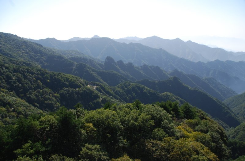 安徽省宿州市砀山县权集乡敬老院