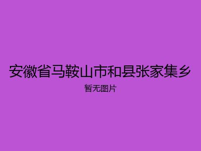 安徽省马鞍山市和县张家集乡