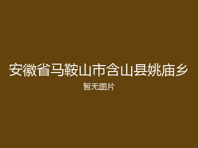 安徽省马鞍山市含山县姚庙乡
