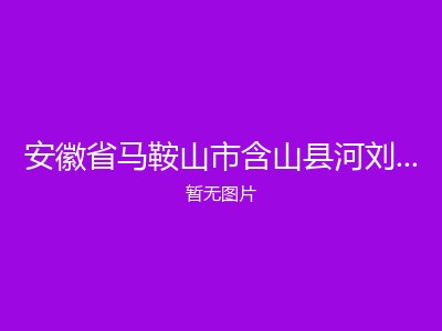 安徽省马鞍山市含山县河刘镇敬老院