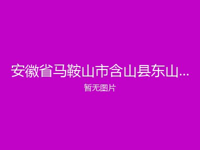 安徽省马鞍山市含山县东山乡敬老院