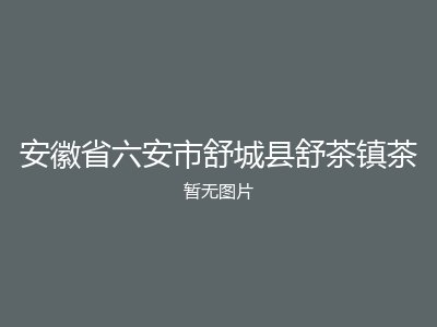 安徽省六安市舒城县舒茶镇茶