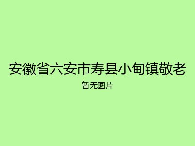 安徽省六安市寿县小甸镇敬老