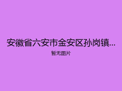 安徽省六安市金安区孙岗镇第三敬老院