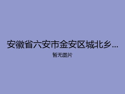 安徽省六安市金安区城北乡敬老二院