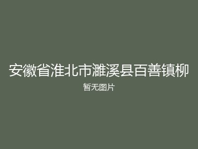安徽省淮北市濉溪县百善镇柳