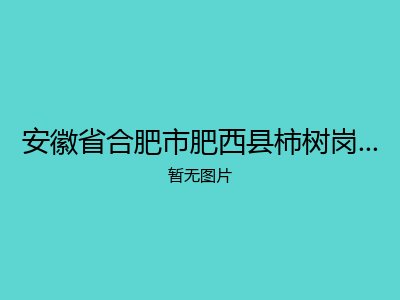 安徽省合肥市肥西县柿树岗乡敬老院