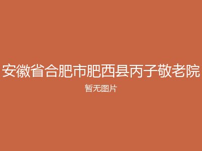 安徽省合肥市肥西县丙子敬老院