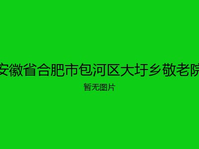 安徽省合肥市包河区大圩乡敬老院