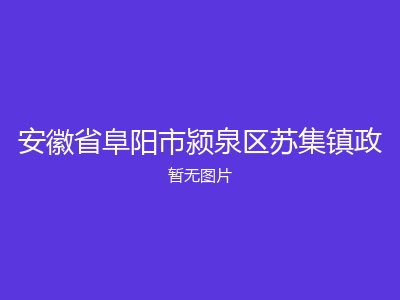 安徽省阜阳市颍泉区苏集镇政
