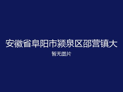安徽省阜阳市颍泉区邵营镇大