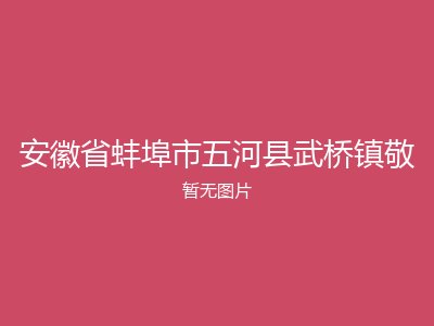 安徽省蚌埠市五河县武桥镇敬