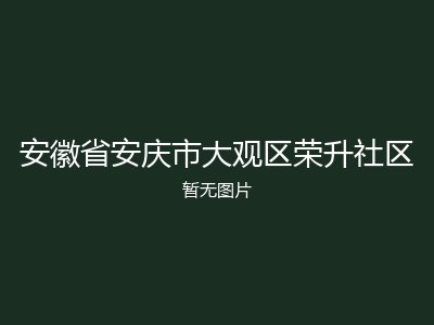 安徽省安庆市大观区荣升社区