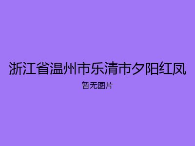 浙江省温州市乐清市夕阳红凤