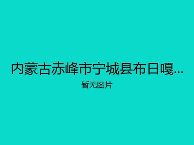 内蒙古赤峰市宁城县布日嘎苏台乡敬老院