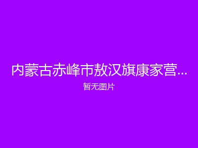 内蒙古赤峰市敖汉旗康家营子乡敬老院