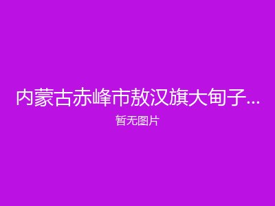 内蒙古赤峰市敖汉旗大甸子乡敬老院