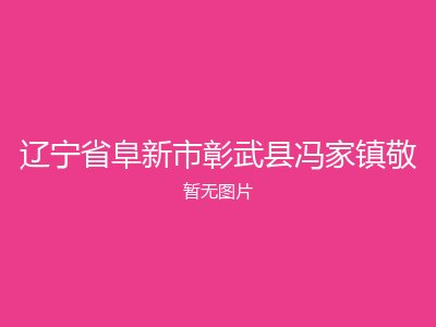 辽宁省阜新市彰武县冯家镇敬