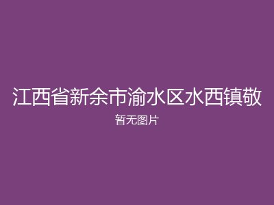江西省新余市渝水区水西镇敬