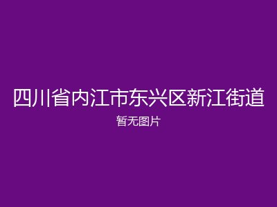 四川省内江市东兴区新江街道