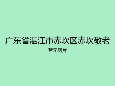 广东省湛江市赤坎区赤坎敬老