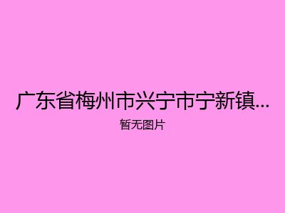 广东省梅州市兴宁市宁新镇府敬老院